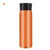 304 Stainless Steel Thermos Cup Spray 600ml