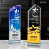 Awards Trophy Custom Design Corporate Gifts