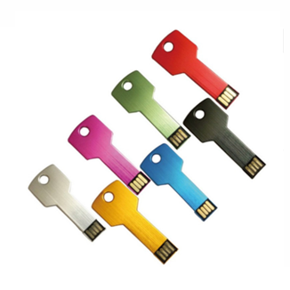 Key Shape USB Flash Drive