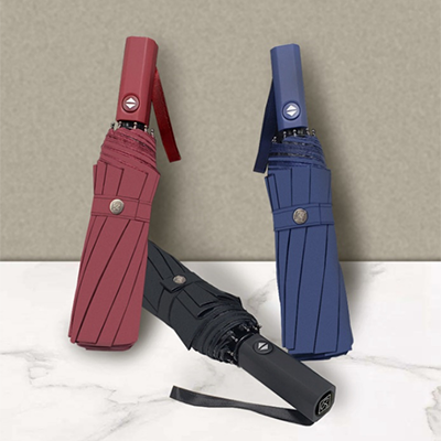 Foldable Windproof Auto Umbrella with PP Handle