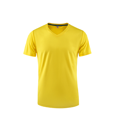 Dri Fit V-Neck T-Shirt