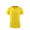 Dri Fit V-Neck T-Shirt