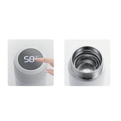 Temperature Flask