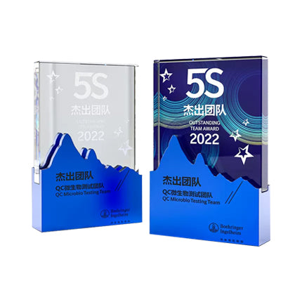 Metal Mountain Trophy Custom Creative Crystal
