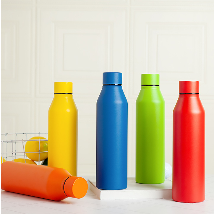 Double Wall Stainless Steel Bottle 500ml