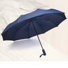 Foldable Windproof Auto Umbrella with PP Handle